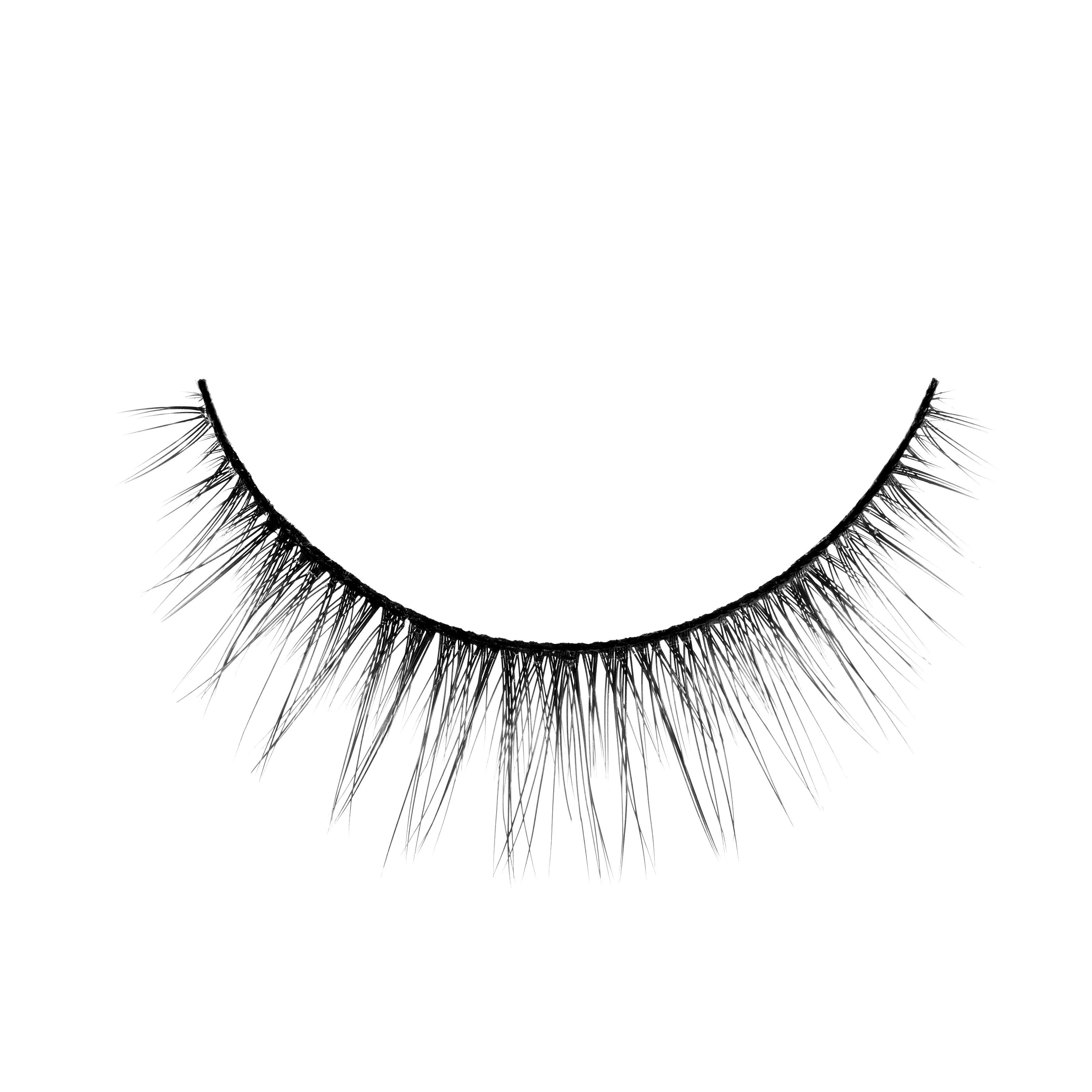 The Everyday Lash Collection - Wicked Wednesday