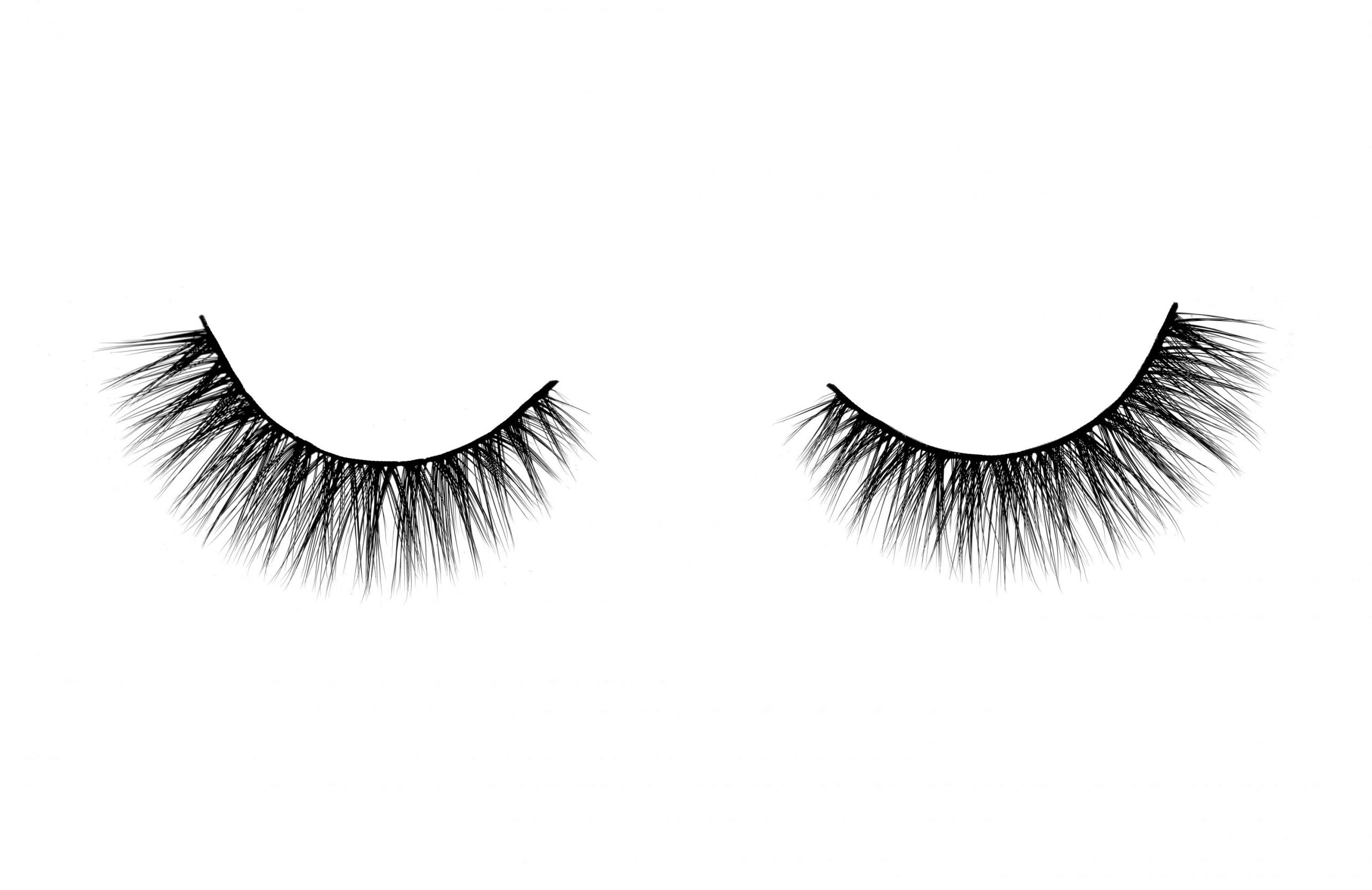 The Everyday Lash Collection - Saturday Night Fever – True Glue Beauty