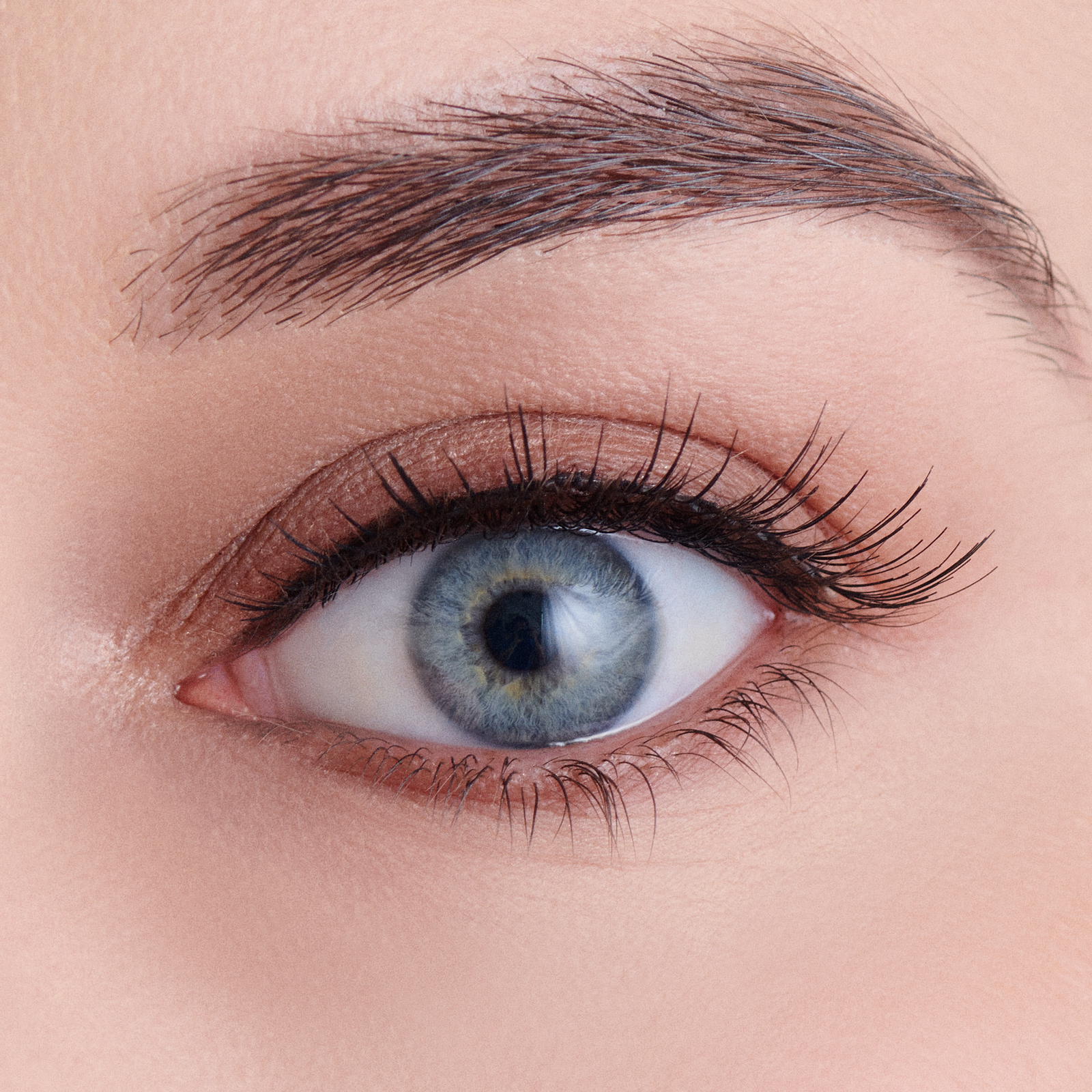 Eco Chic Lashes - Dahlia