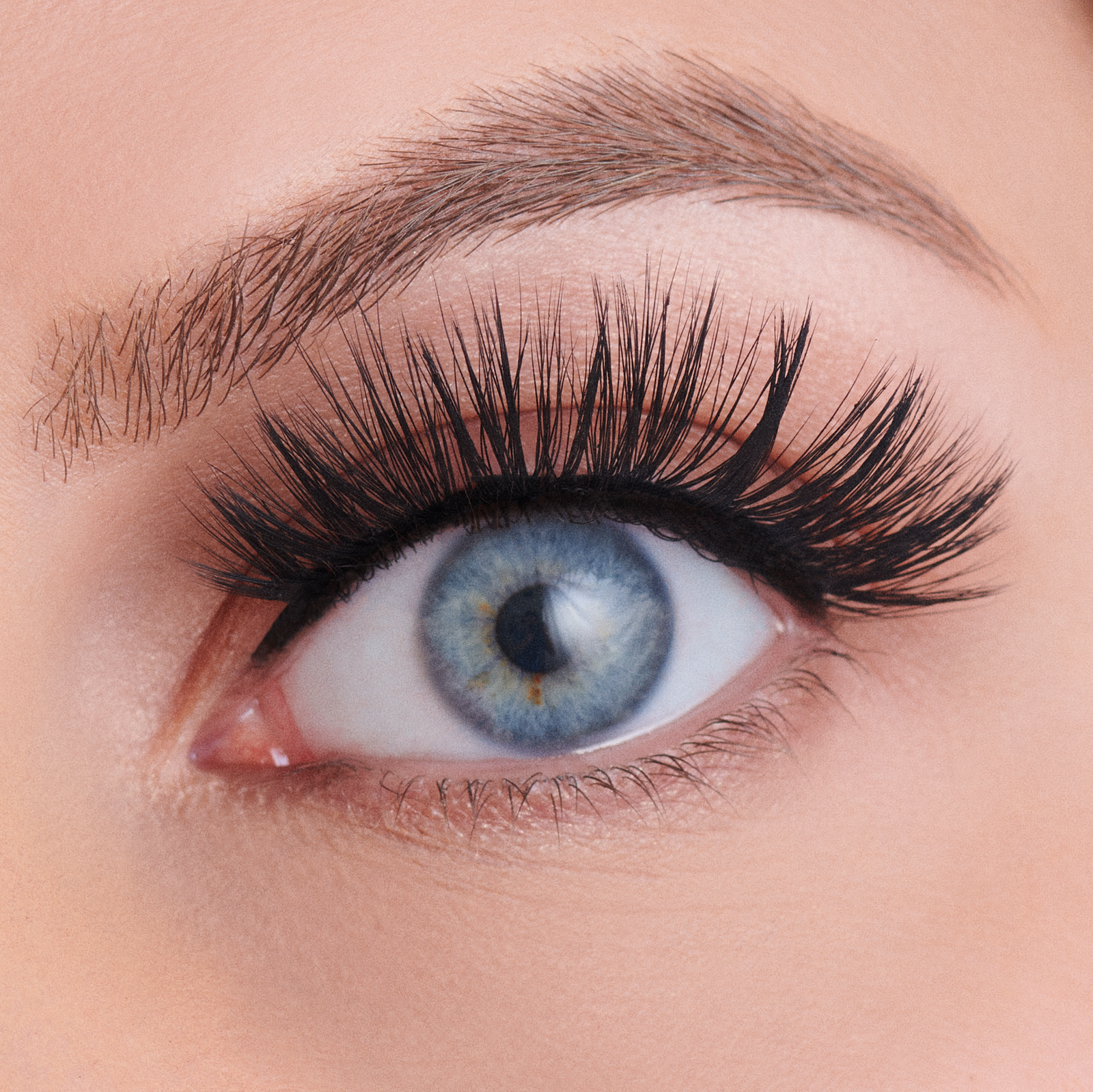Vegan Silk Lashes - Fancy Nancy