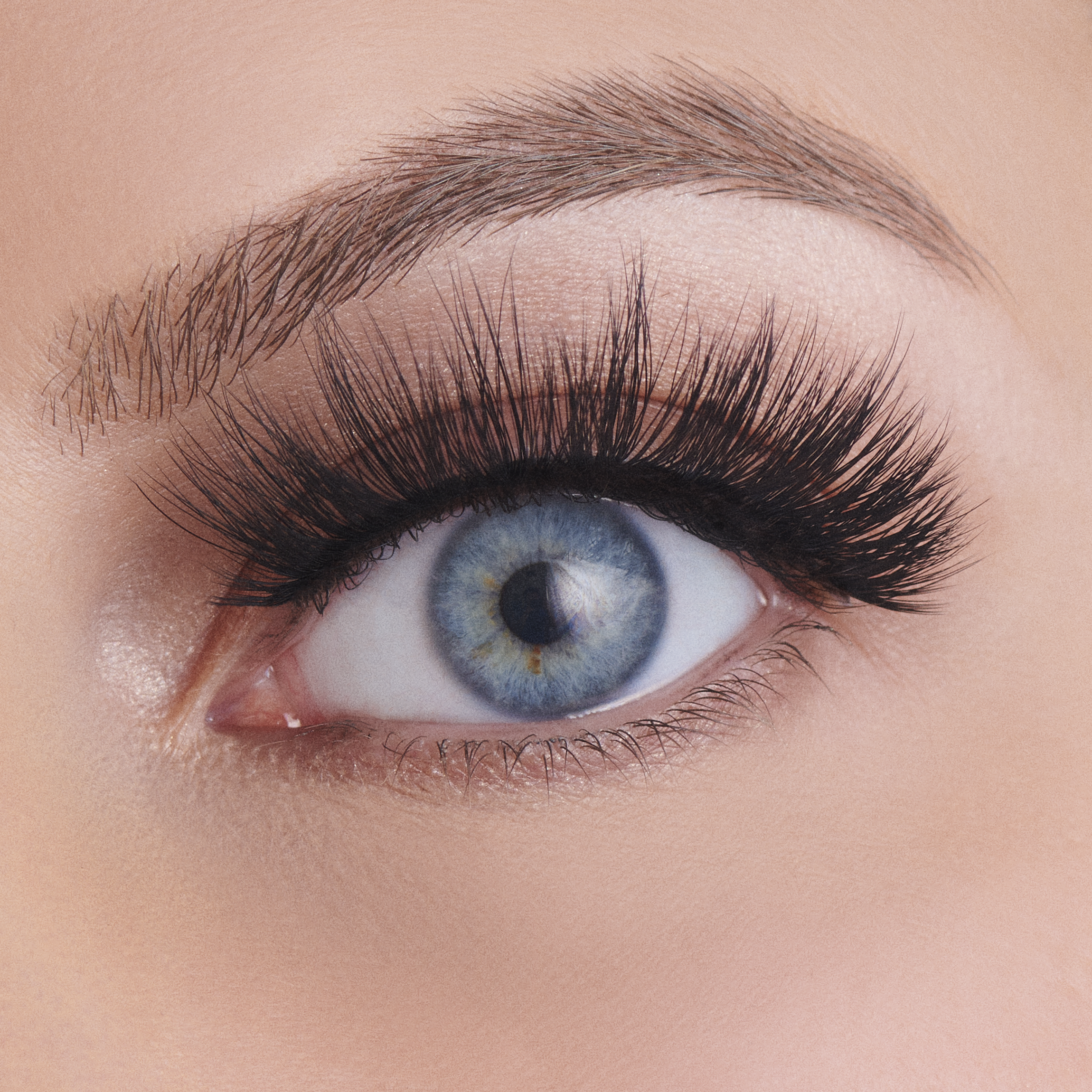 Vegan Silk Lashes Femme