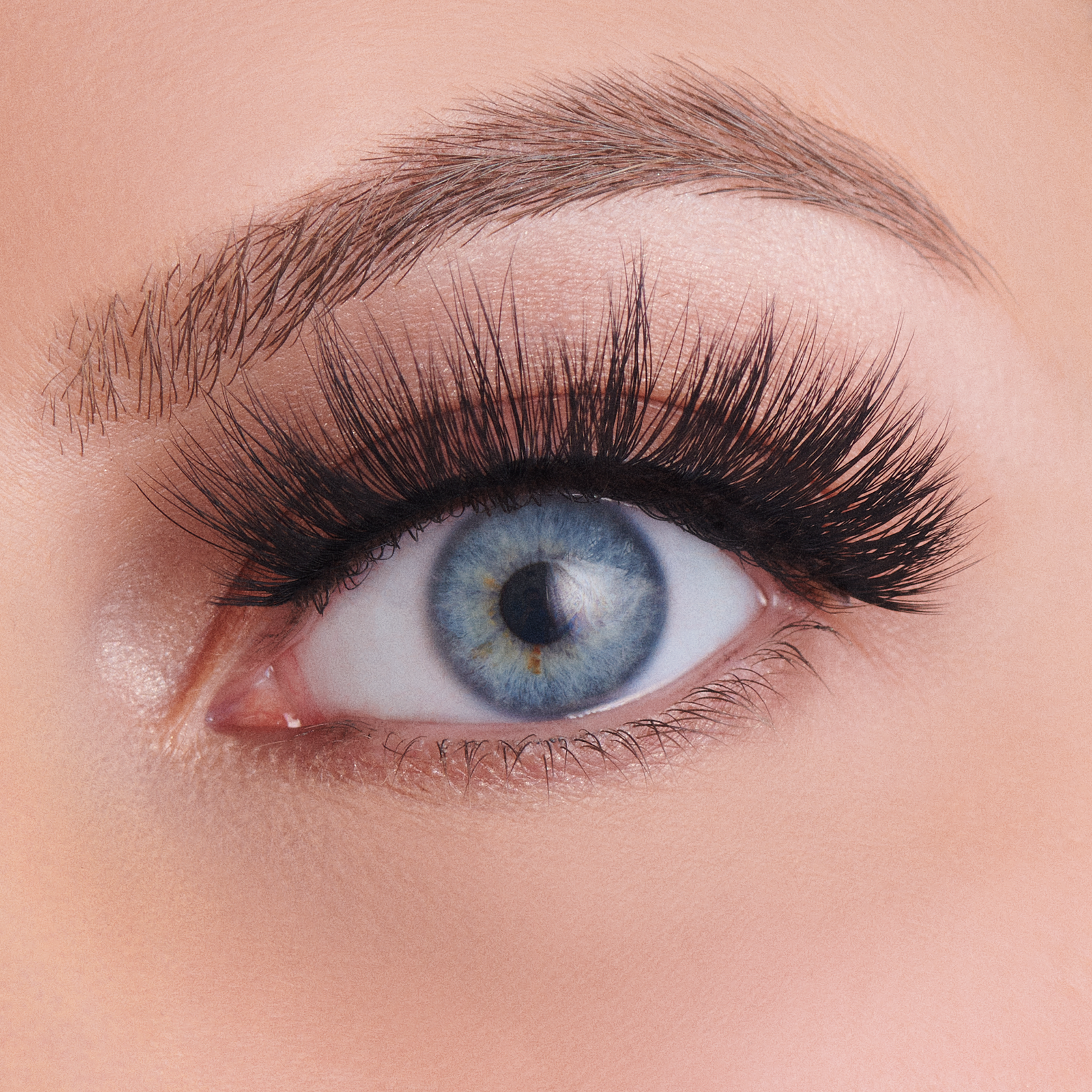 Vegan Silk Lashes - Femme