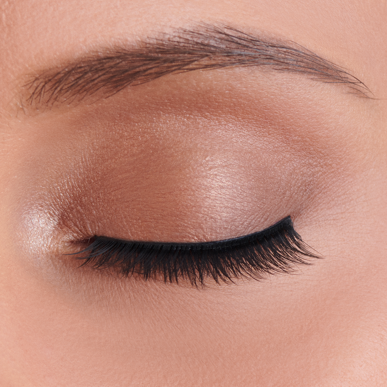 The Everyday Lash Collection - FriYaY