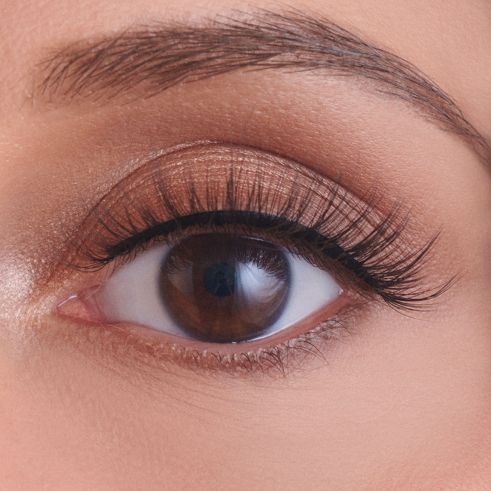 Boss Collection - Girlboss