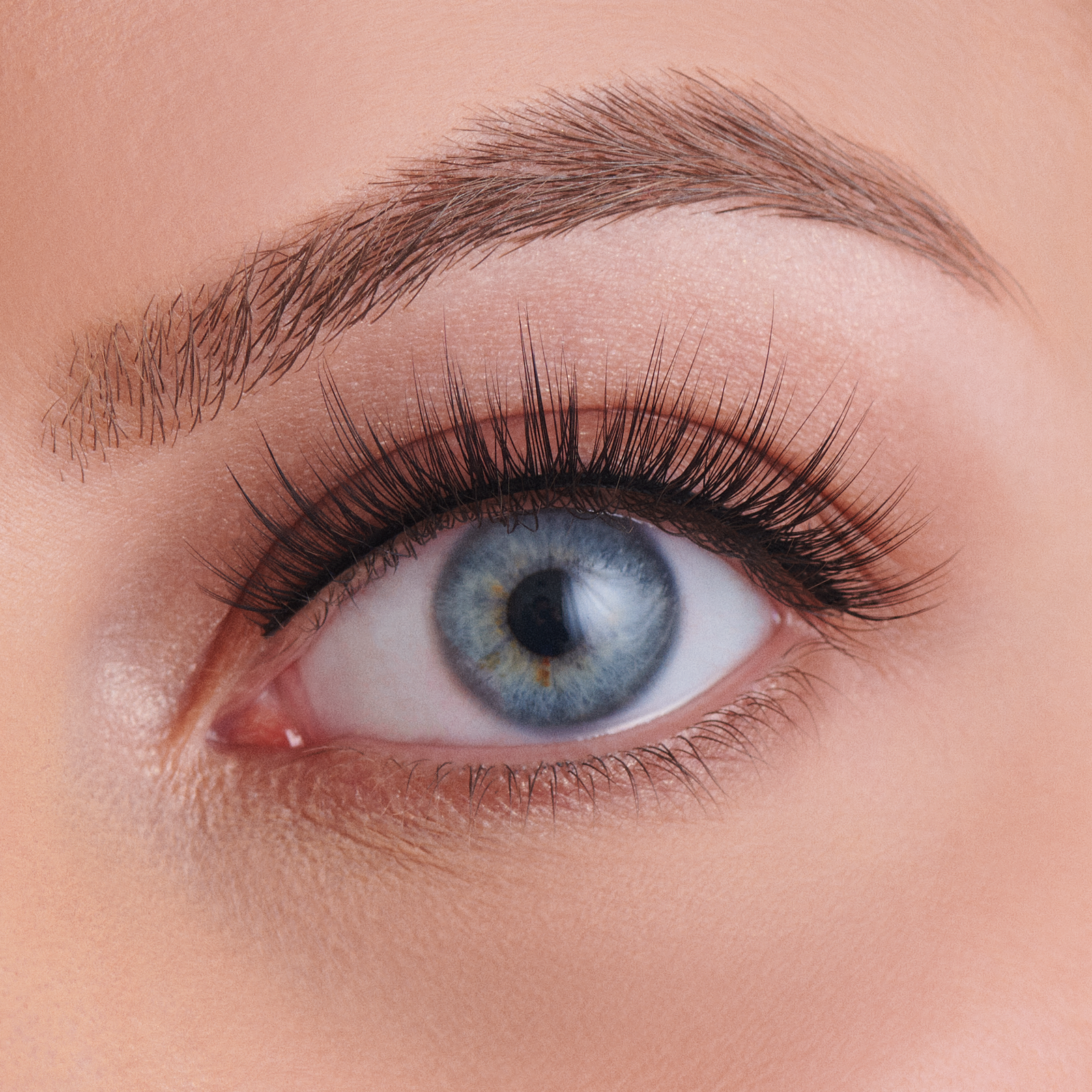 Boss Collection - Grl Pwr