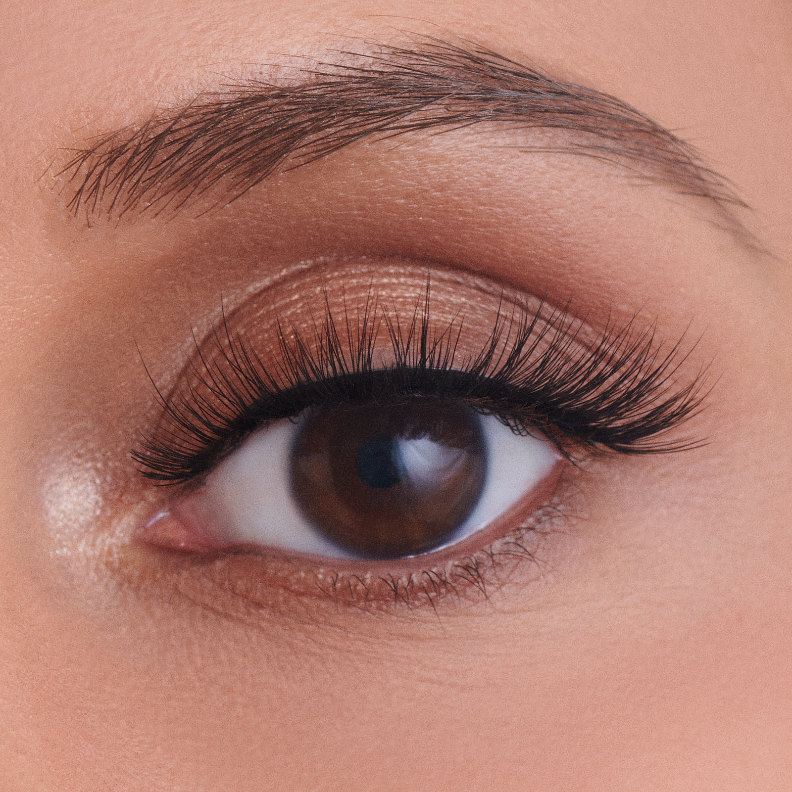 Vegan Silk Lashes - Money Maker