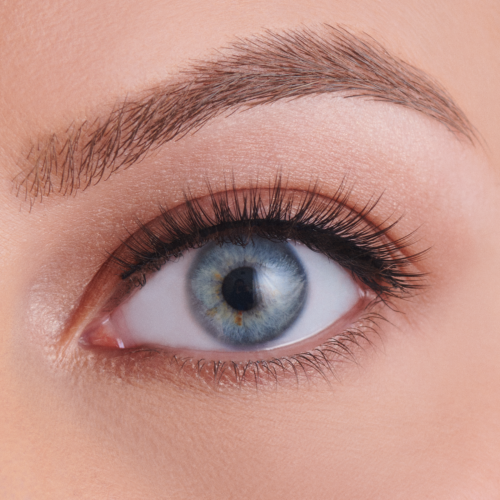 The Everyday Lash Collection - Ruby Tuesday