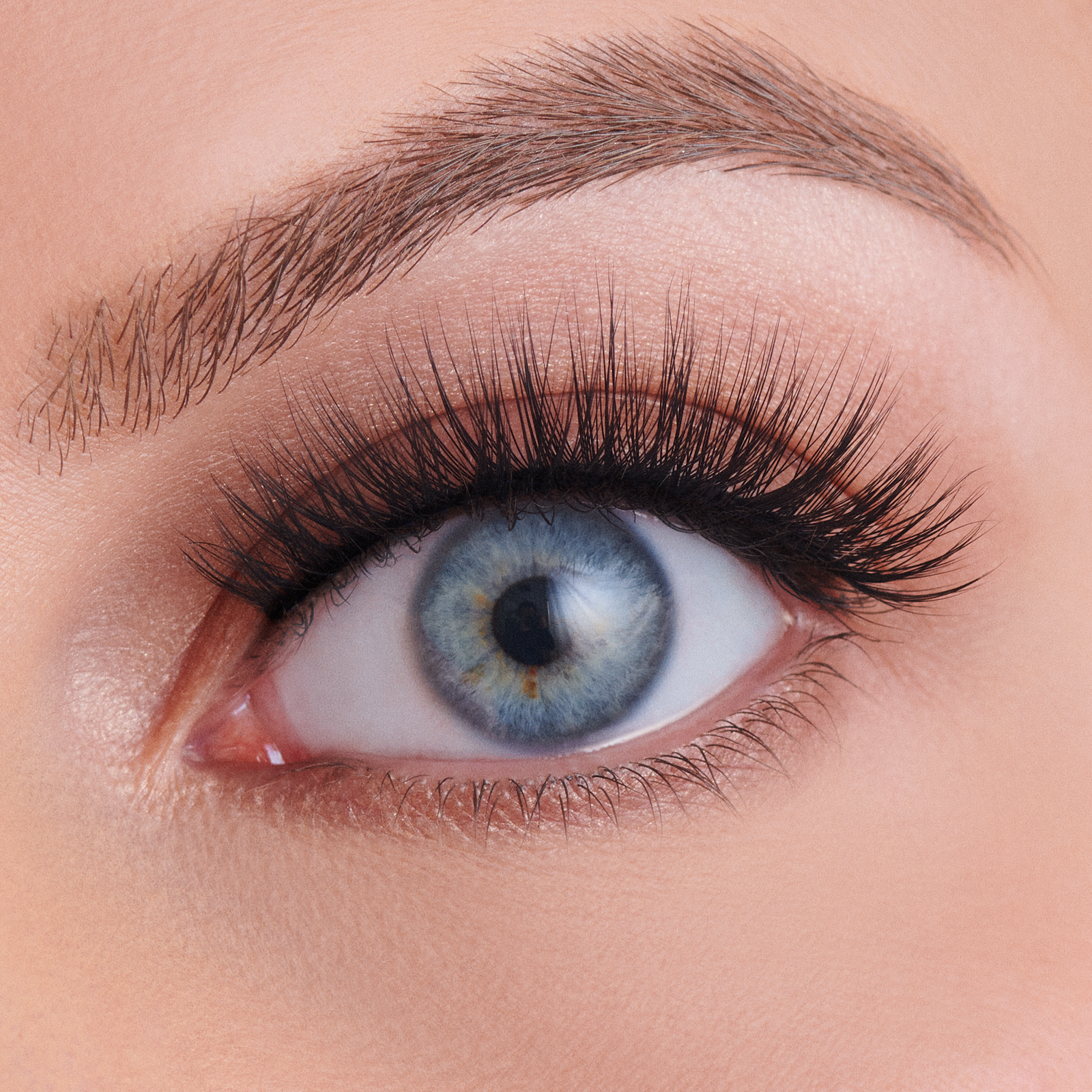 The Everyday Lash Collection - Saturday Night Fever