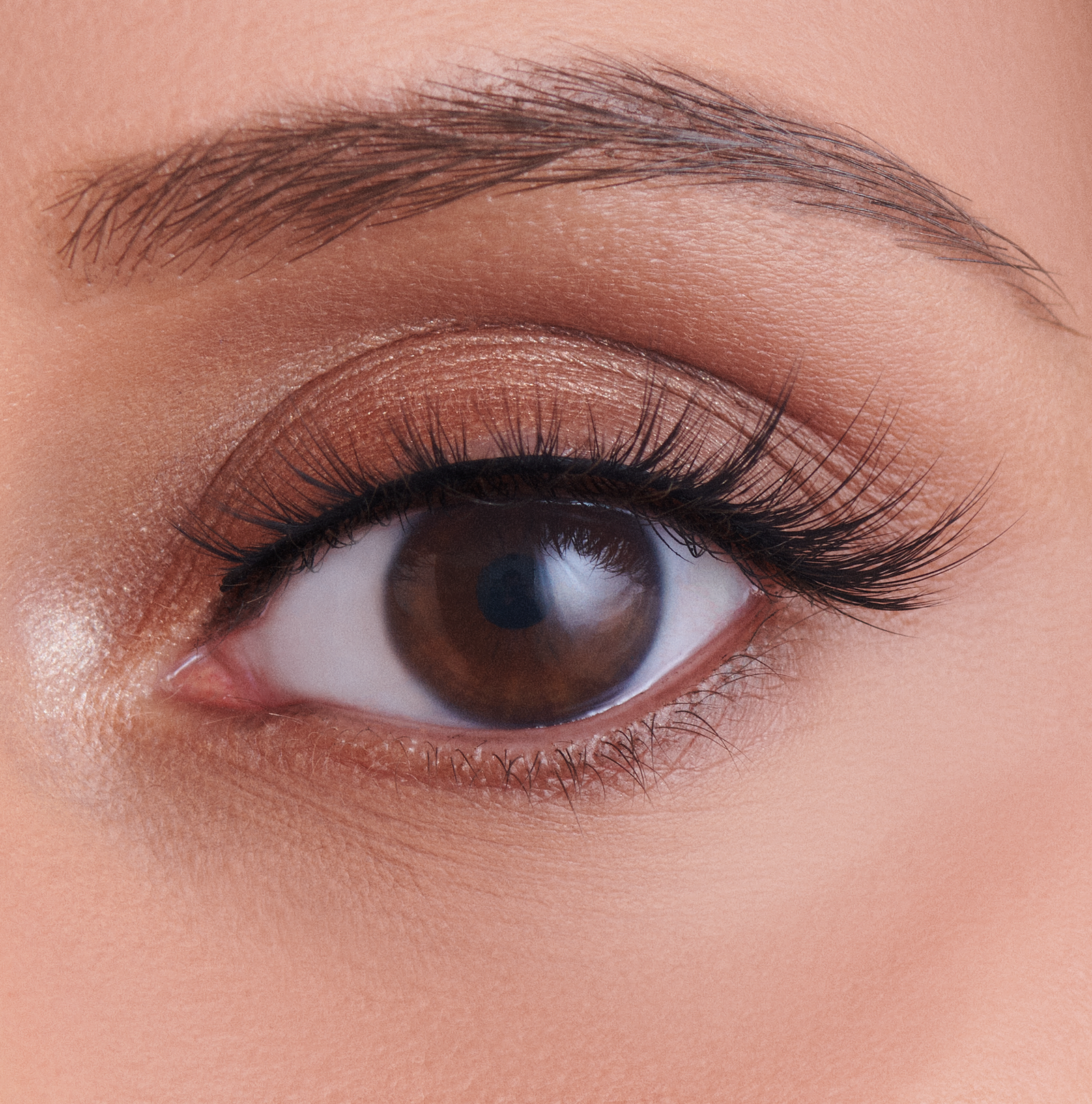The Everyday Lash Collection - Sunday Funday