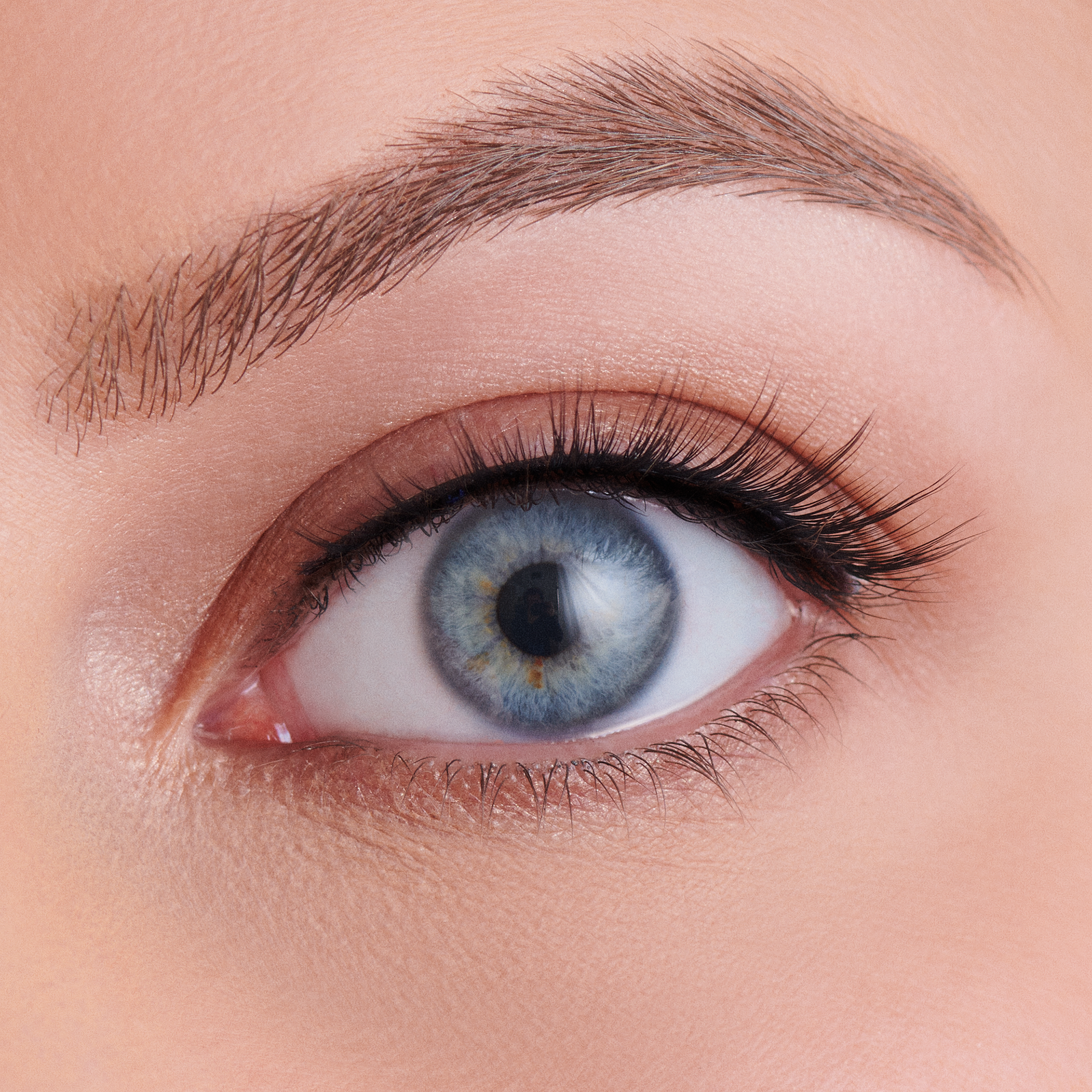 The Everyday Lash Collection - TBT