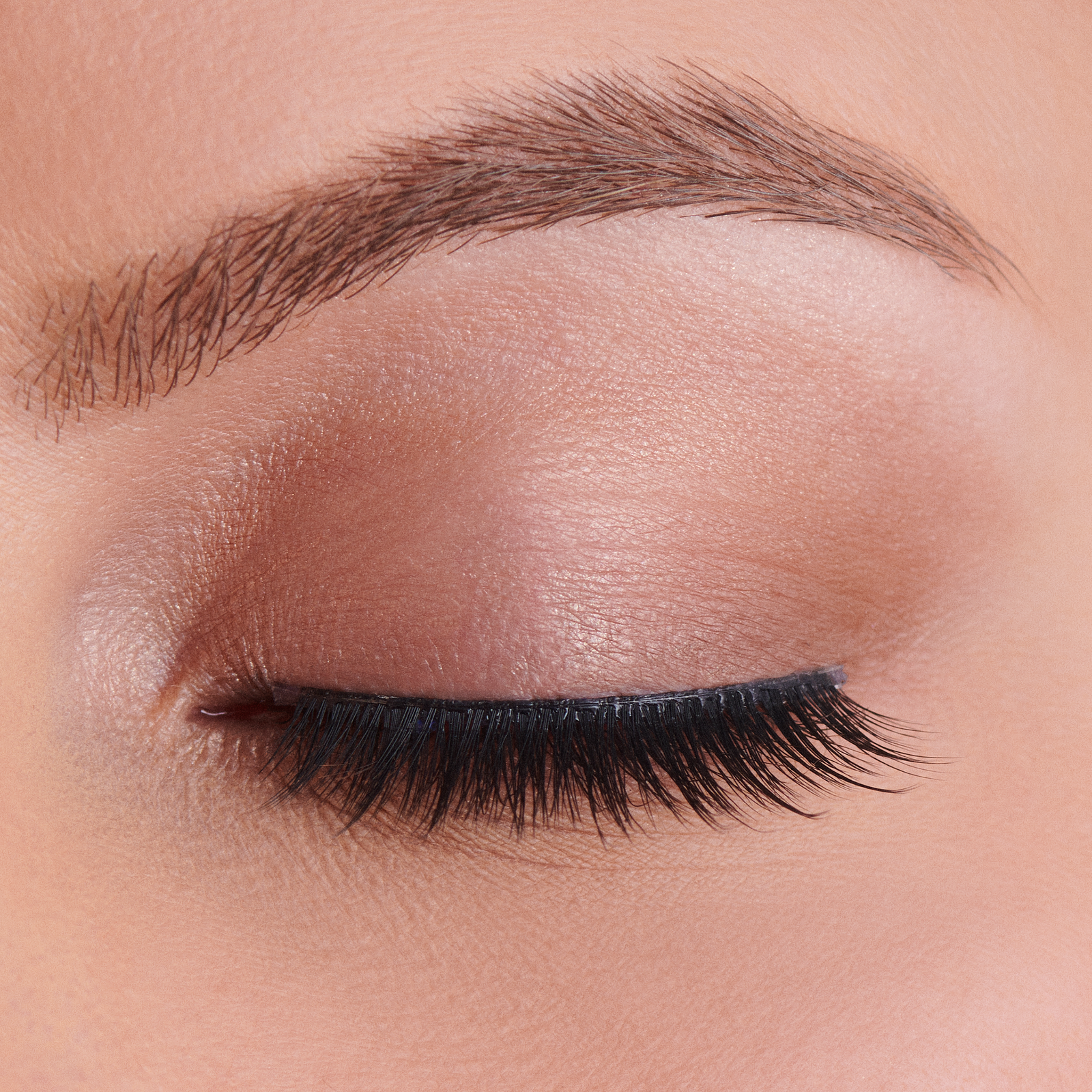 The Everyday Lash Collection - TBT