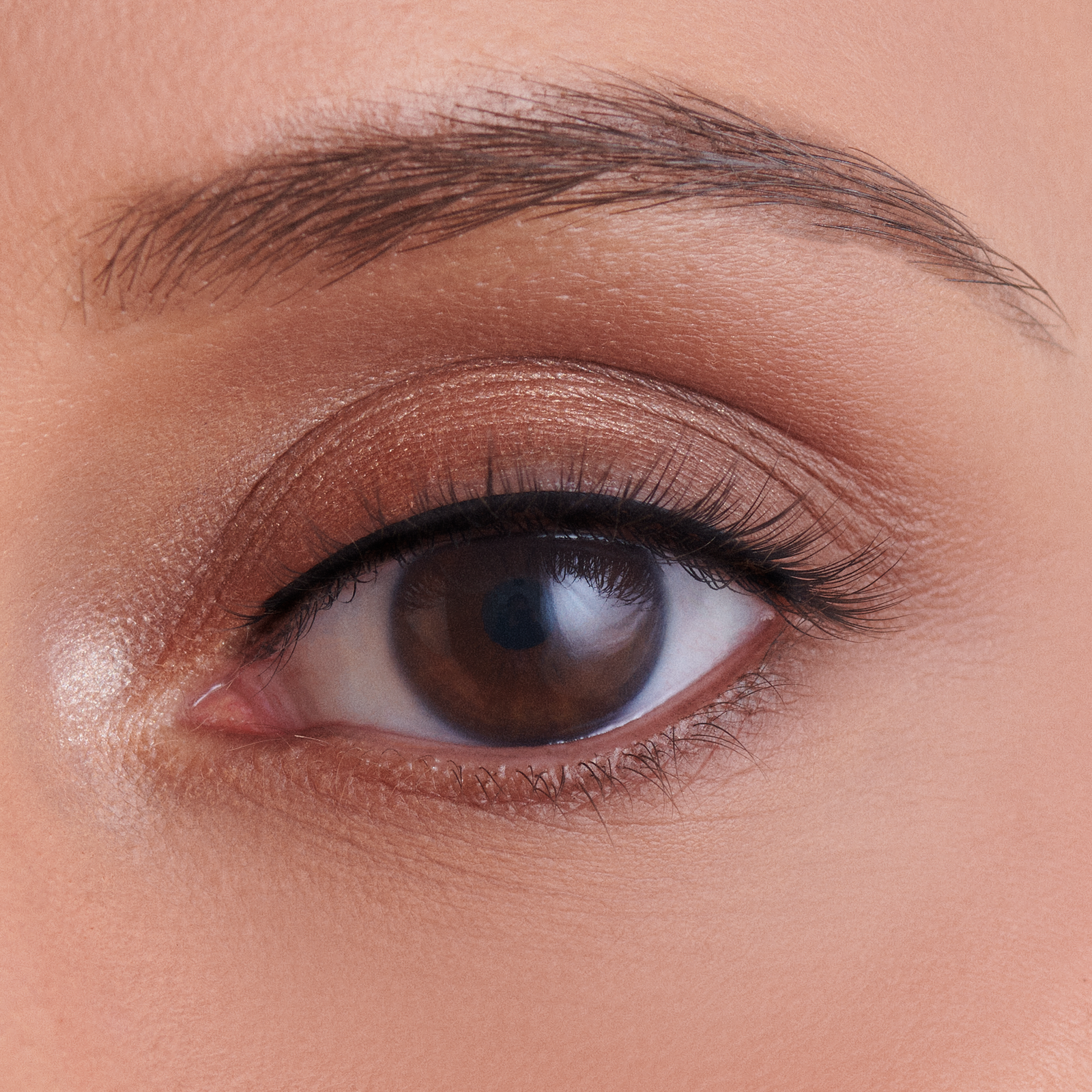 The Everyday Lash Collection - Wicked Wednesday