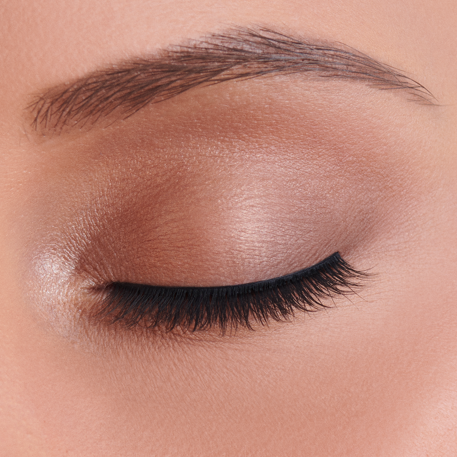 The Everyday Lash Collection - Wicked Wednesday
